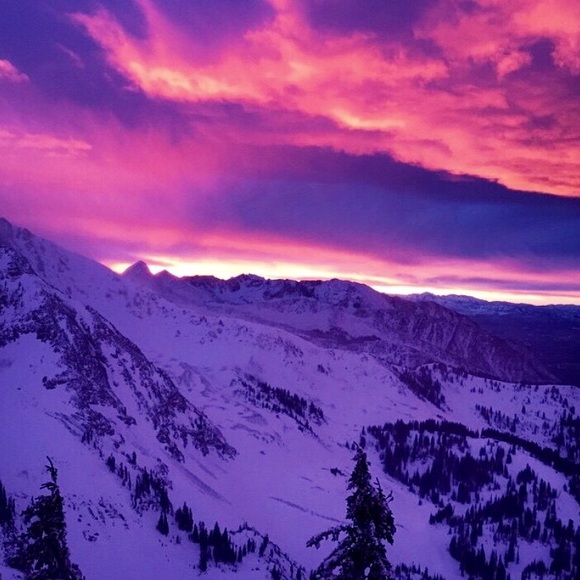 Meet your Posher, Ava - Picture 1 of 1